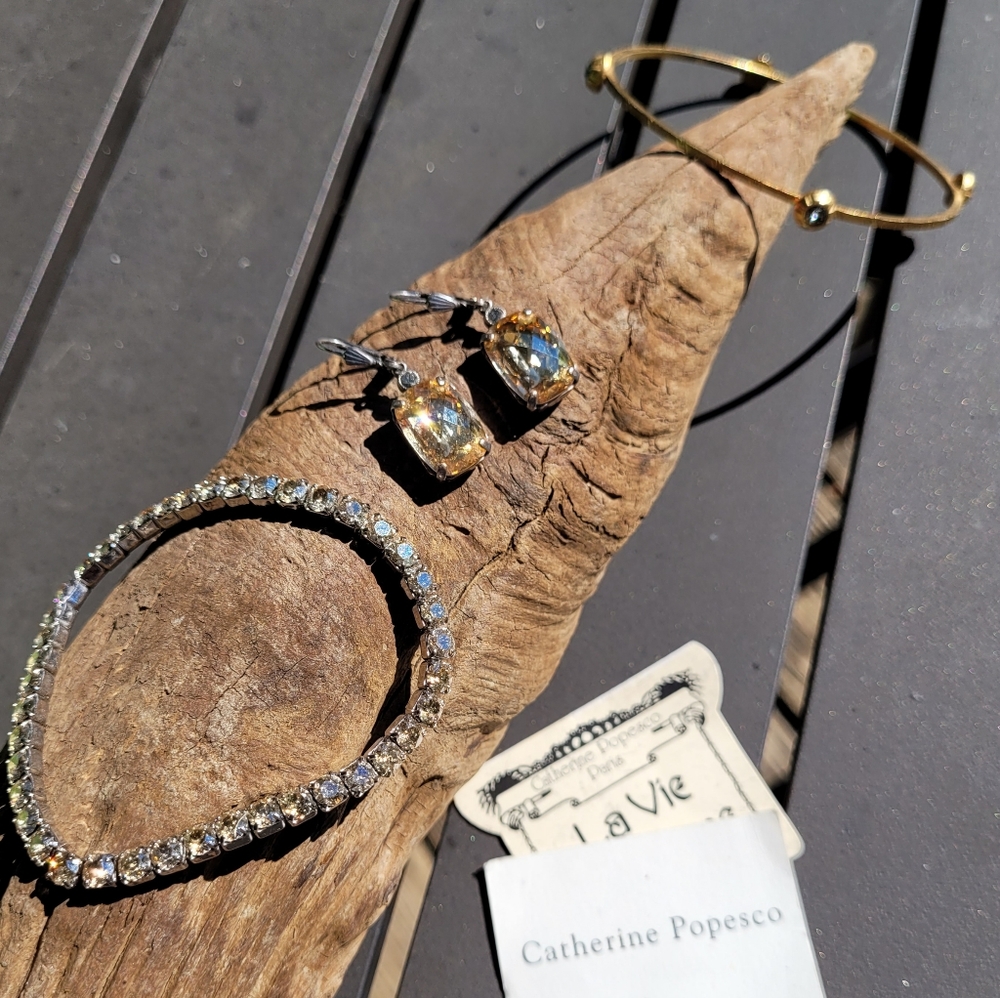 🎄 Holiday Sale! Catherine Popesco La Vie Parisienne